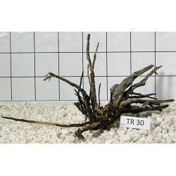 Spiderwood 30