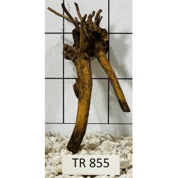 Spiderwood 855