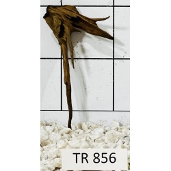 Spiderwood 856