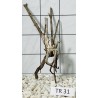 Spiderwood 31