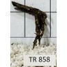 Spiderwood 858
