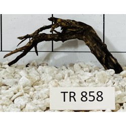 Spiderwood 858