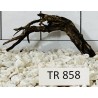 Spiderwood 858
