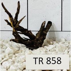 Spiderwood 858