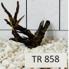 Spiderwood 858