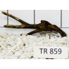 Spiderwood 859