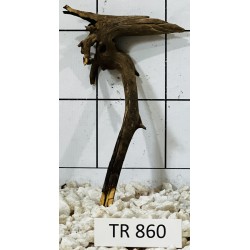 Spiderwood 860