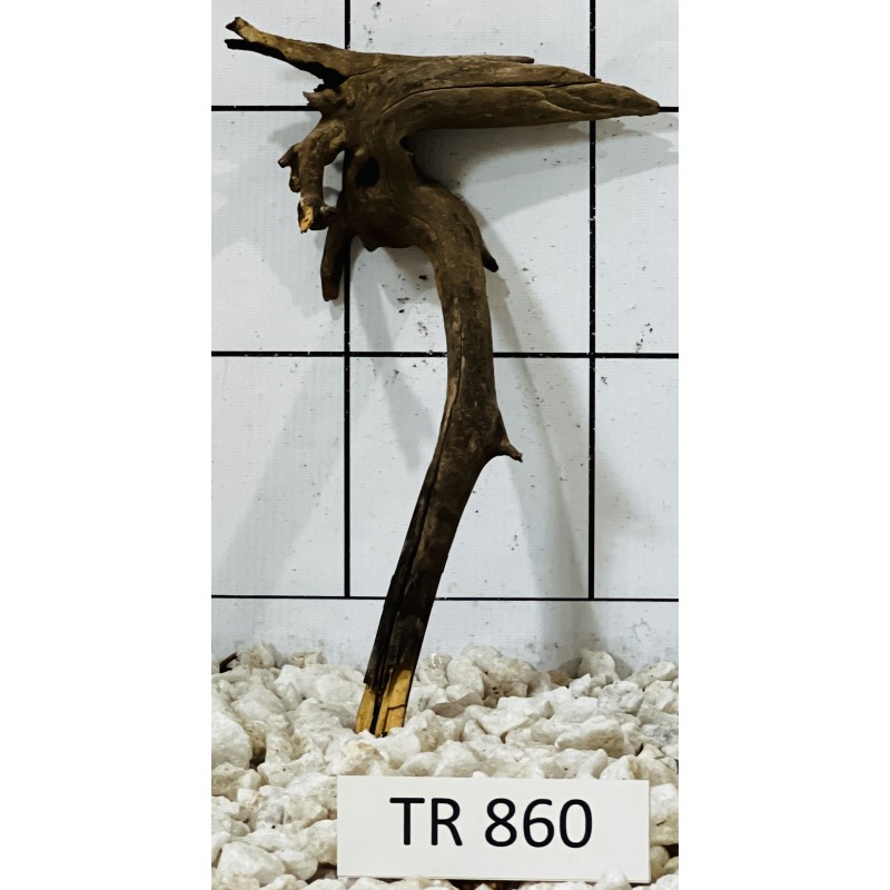 Spiderwood 860