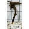 Spiderwood 860