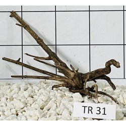 Spiderwood 31