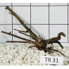 Spiderwood 31