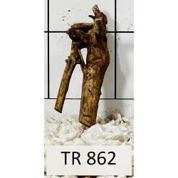 Spiderwood 862
