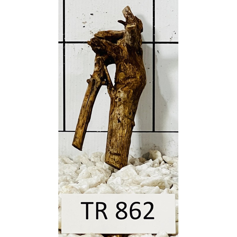 Spiderwood 862