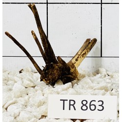 Spiderwood 863