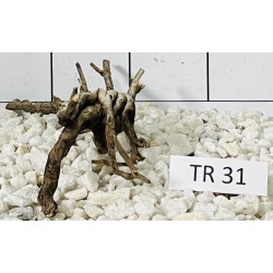 Spiderwood 31