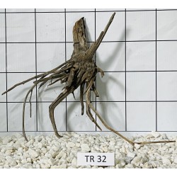 Spiderwood 32