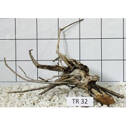 Spiderwood 32