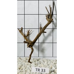 Spiderwood 33