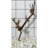 Spiderwood 33