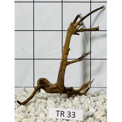 Spiderwood 33