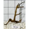 Spiderwood 33