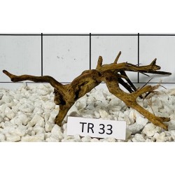 Spiderwood 33