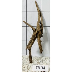 Spiderwood 34
