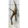 Spiderwood 34