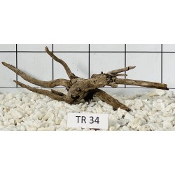 Spiderwood 34