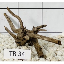 Spiderwood 34