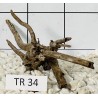 Spiderwood 34