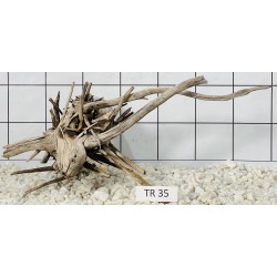 Spiderwood 35