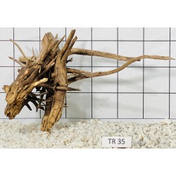 Spiderwood 35