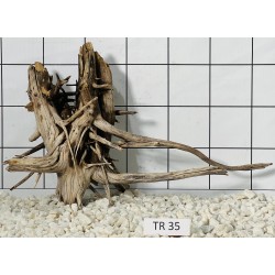 Spiderwood 35