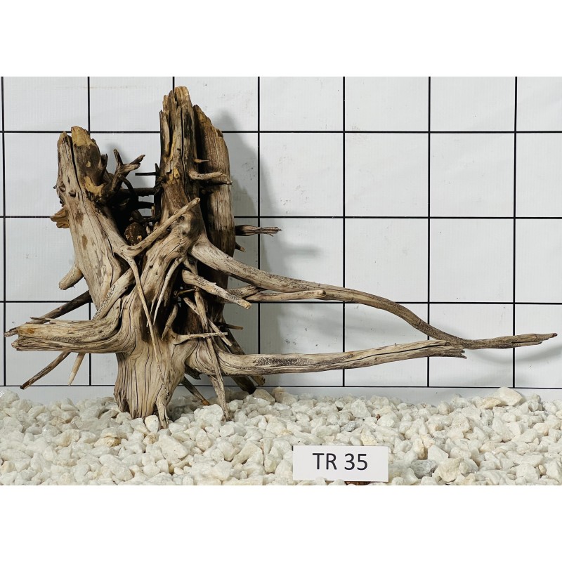 Spiderwood 35