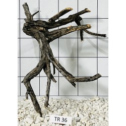 Spiderwood 36