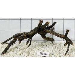 Spiderwood 36