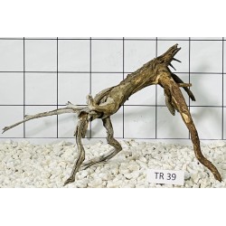 Spiderwood 39