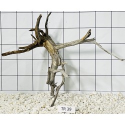 Spiderwood 39