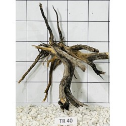 Spiderwood 40