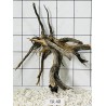 Spiderwood 40