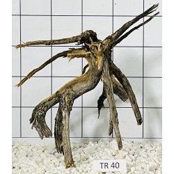 Spiderwood 40