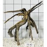 Spiderwood 40