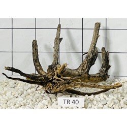 Spiderwood 40