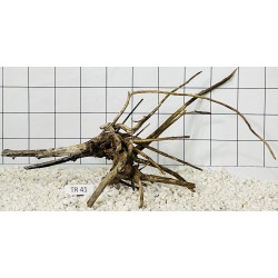 Spiderwood 41