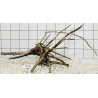 Spiderwood 41