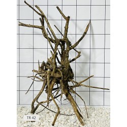 Spiderwood 42