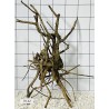 Spiderwood 42