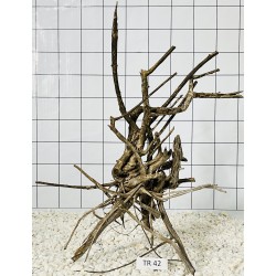 Spiderwood 42