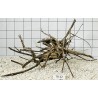 Spiderwood 42